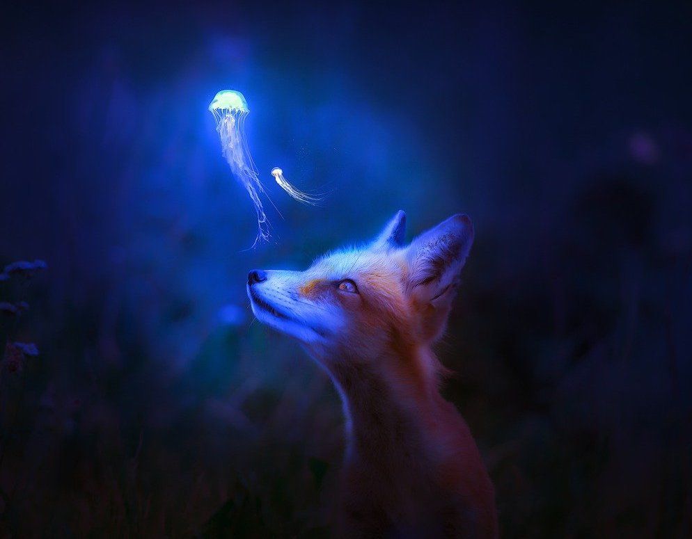 Сказка Заколдованный дуб Ольги Мотовиловой из коллекции авторских сказок для детей читать онлайн