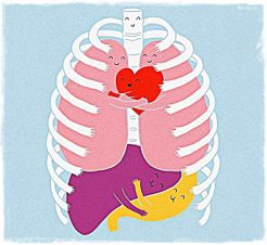 Как повздорили части тела