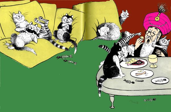 Кошки были довольны