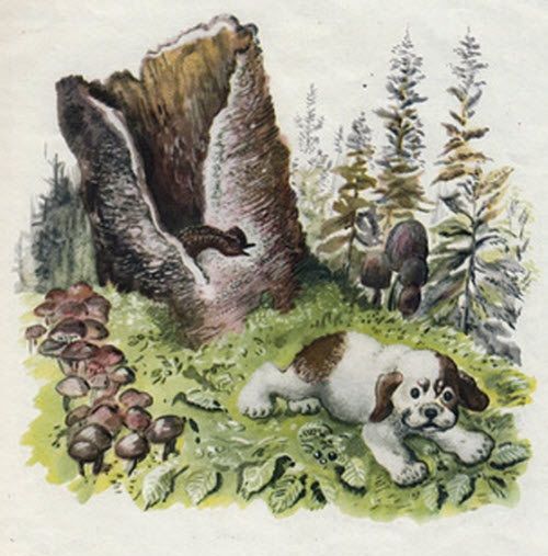 вертишейка шипит ему вслед из дупла