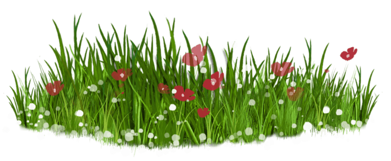 Стих С утра на лужайку Агнии Барто из коллекции детских классиков