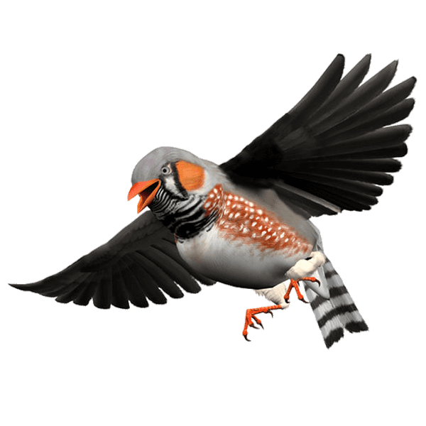 Стих Зяблик Сергея Михалкова из коллекции детских классиков